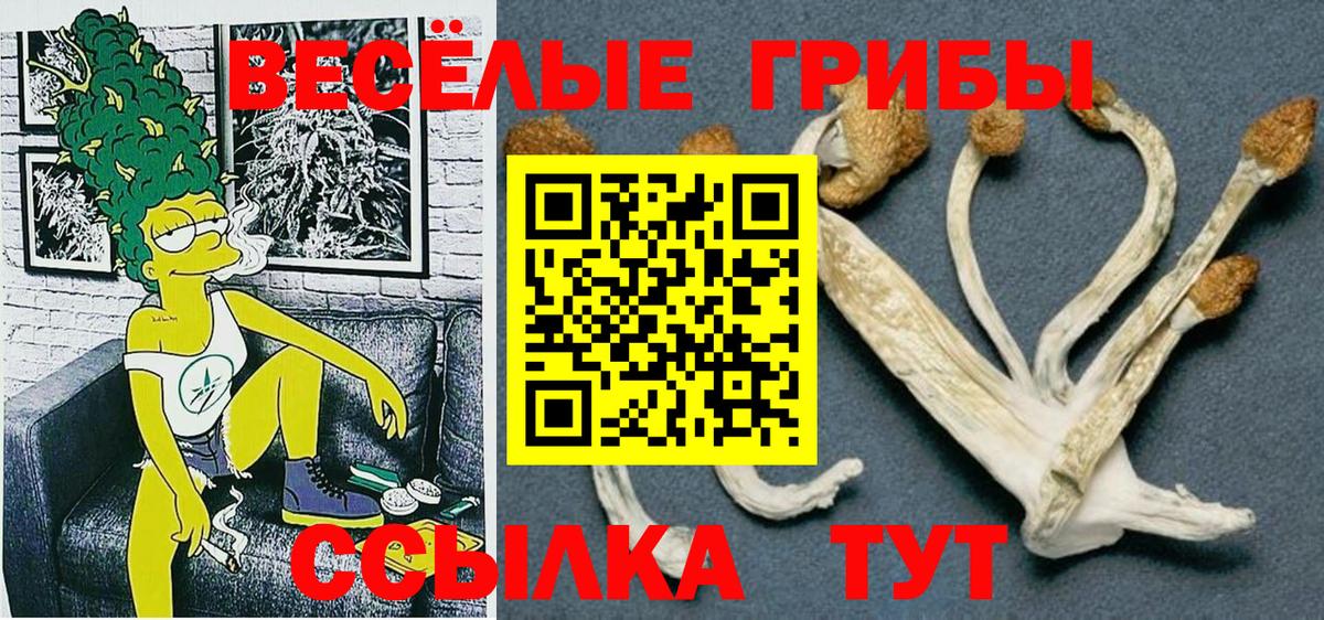 Псилоцибиновые грибы мицелий Михайловск