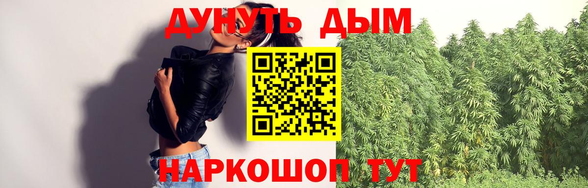 Конопля OG Kush Михайловск